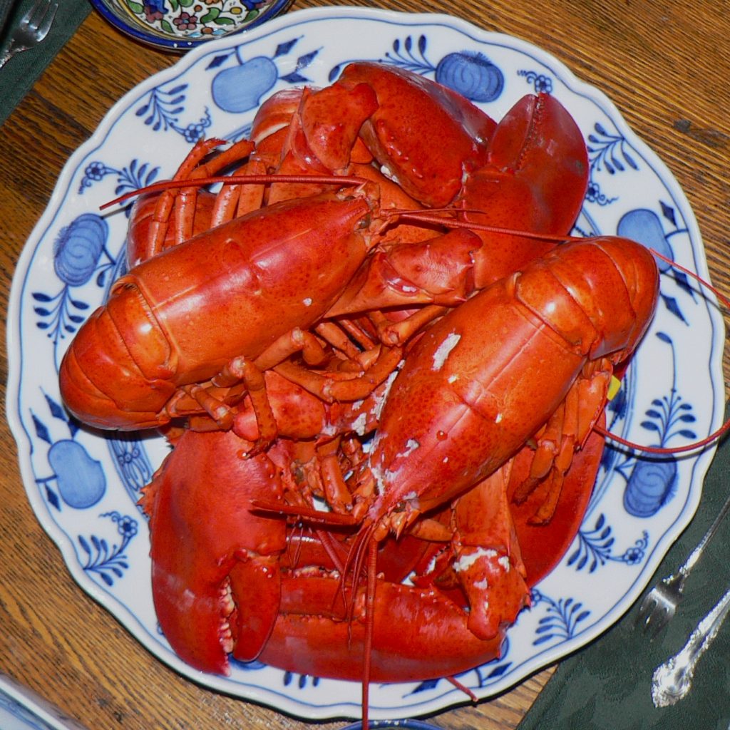 grilling boiled lobster